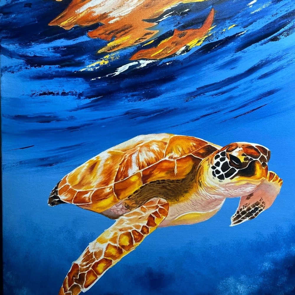 Sea turtle in a blue oasis